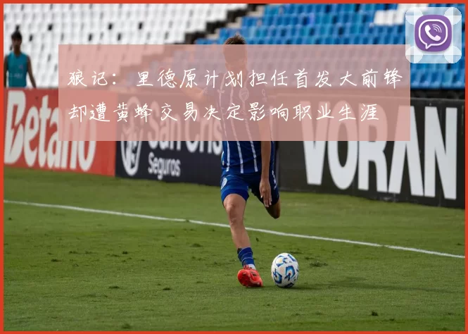 狼记：里德原计划担任首发大前锋却遭黄蜂交易决定影响职业生涯